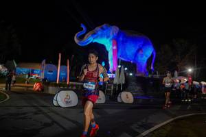 BIB: 
                            <button type="button" onclick="openModal(26552380)" class="btn btn-primary btn-sm float-right btn-popup" data-toggle="modal" data-target=".modal-high-quality">
                        <i class="fas fa-shopping-cart"></i> Add to Cart
                    </button>
                                            <button type="button" onclick="isThisMe(26552380, true)" class="btn btn-success btn-sm float-right btn-popup btn-isme hidden" data-toggle="tooltip" data-placement="bottom" title="นี่คือรูปของคุณใช่ไหม คลิกที่นี่เพื่อเอาเข้าอัลบั้ม">
                        <i class="fas fa-plus"></i> Add to album
                    </button>
                    <button type="button" onclick="isThisMe(26552380, false)" class="btn btn-warning btn-sm float-right btn-popup btn-isnotme hidden">
                        <i class="fas fa-ban"></i> Remove from album
                    </button>